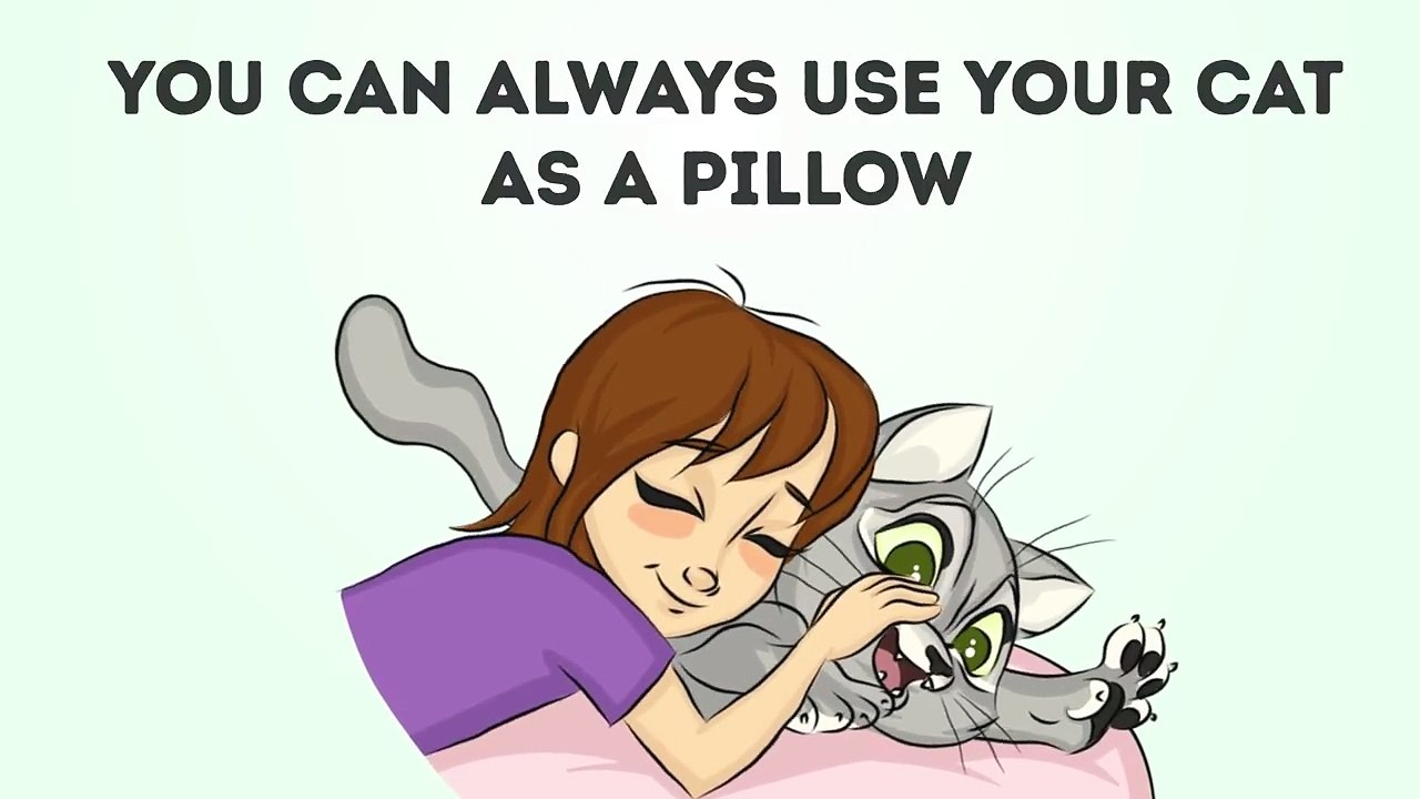 WITH CAT VS. WITHOUT CAT