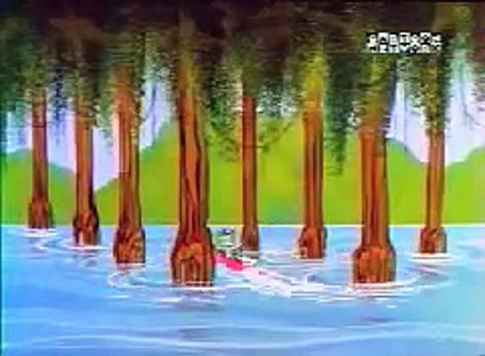 Wally gator générique