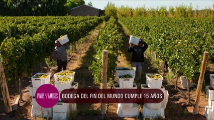 Vinos y Amigos Programa 193 Bloque 1