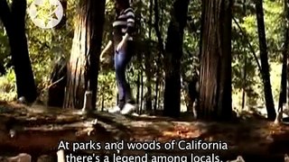 //IMPACTANTE// Seres Extraños En Los Bosques de California