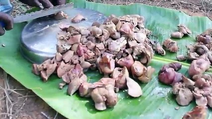 1000 CHICKEN LIVERS Prepared by my Daddy / VILLAGE FOOD FACTORY