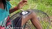 Wow! Amazing Smart Little Girl Catch Big Snakes Using Fan Guard Trap - How To Catch Snake With Trap