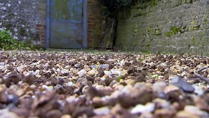 Scream: Halloween Special (Ghost Documentary) - Real Stories