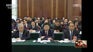 [中国新闻]王岐山参加河北代表团审议