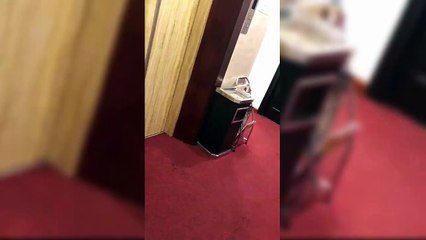 Tiếng gào thét thất thanh, rùng rợn của cô gái trong đêm