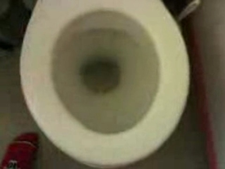 Comme une envie de chier