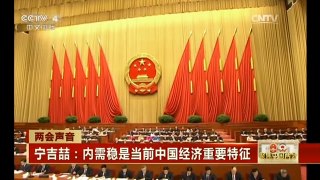 [中国新闻]两会声音 宁吉喆：内需稳是当前中国经济重要特征| CCTV中文国际