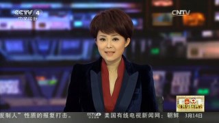 [中国新闻]两会声音 国资委肖亚庆：该管的不该管的要划清界限| CCTV中文国际