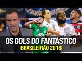 OS GOLS DO FANTÁSTICO | SELEÇÃO BRASILEIRA E BRASILEIRÃO (13/05/2018)