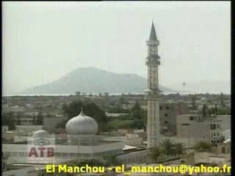 Tunisie - Pub sur Menzel Bourguiba Ferryville