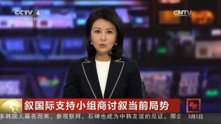 [中国新闻]叙国际支持小组商讨叙当前局势