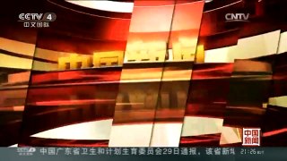 [中国新闻]公安部：去年全国持枪犯罪下降42.7%