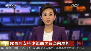 [中国新闻]叙国际支持小组商讨叙当前局势