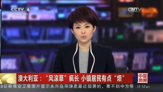 [中国新闻]澳大利亚：“风滚草”疯长 小镇居民有点“烦”