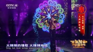 《中国文艺》 20160222 中国文艺春节特别节目：金猴迎春中国年