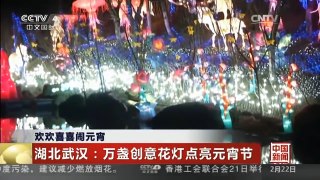 [中国新闻]欢欢喜喜闹元宵 湖北武汉：万盏创意花灯点亮元宵节