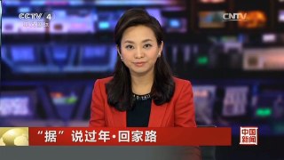 [中国新闻]“据”说过年·回家路