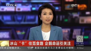 [中国新闻]冰山“卡”住觅食路 企鹅命运引关注