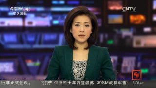 [中国新闻]韩副外长：确信美将贯彻对朝制裁法案