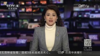 [中国新闻]美国东部暴风雪肆虐 交通受阻
