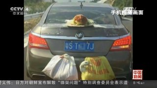[中国新闻]带着鸡鸭跑高速 这车配置有点高