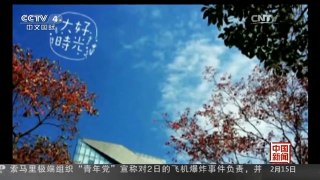 [中国新闻]歌曲《南山南》引近百高校接力改编