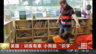 [中国新闻]英国：训练有素 小狗能“识字”
