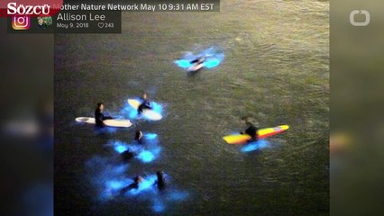 Okyanusta bilimkurgu filmlerini aratmayan görüntü