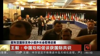 [中国新闻]叙利亚国际支持小组外长会取得进展