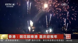 [中国新闻]香港：烟花靓维港 喜庆迎猴年