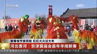 [中国新闻]新春佳节赏民俗 红红火火过大年
