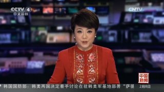 [中国新闻]北京：厂甸庙会 玩出京城年味
