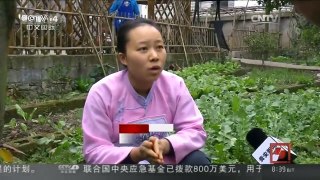 [中国新闻]春节脚步近 家乡年味浓