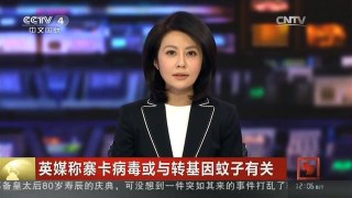 [中国新闻]英媒称寨卡病毒或与转基因蚊子有关