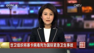 [中国新闻]世卫组织将寨卡病毒列为国际紧急卫生事故