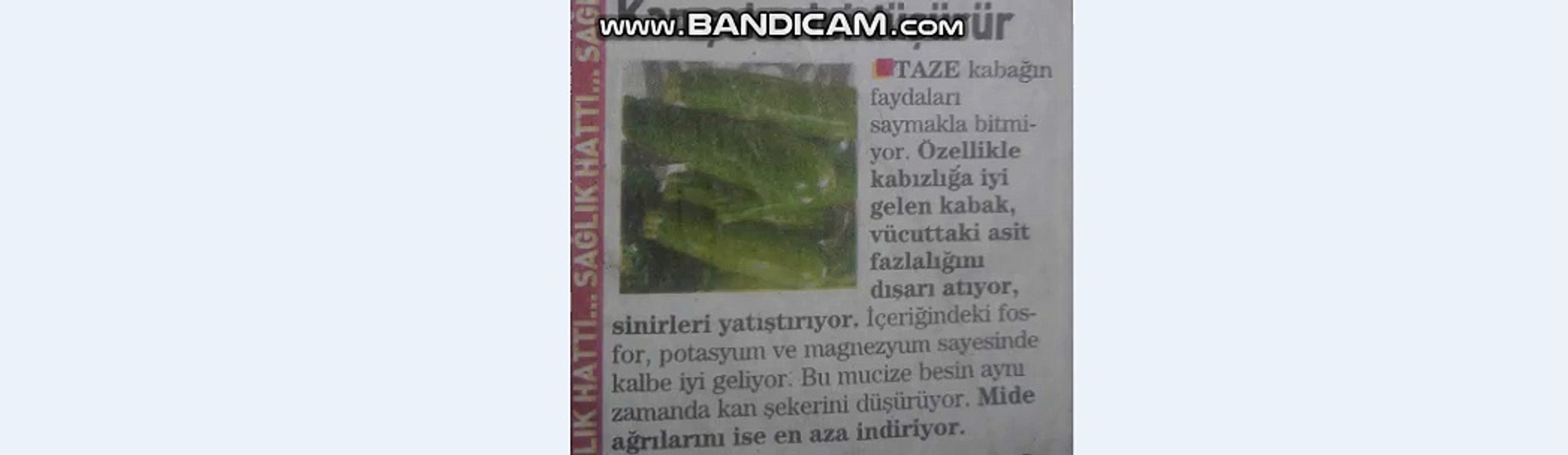 taze kabağın faydaları