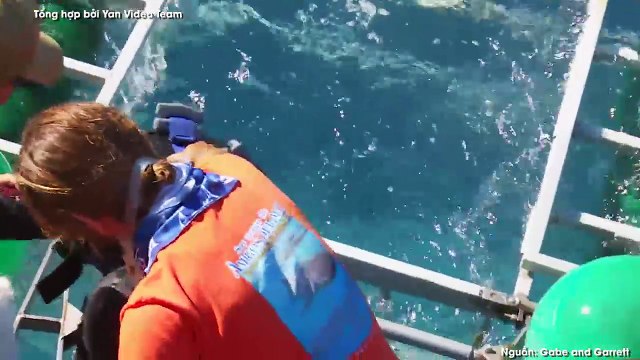 Lặn lồng chờ xem cá mập, người đàn ông bất ngờ bị sát thủ đại dương tấn công khiến CĐM đứng tim