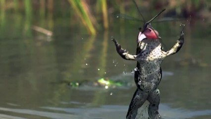 Our Planets (Earth'S Seasonal secrets)   - Summer