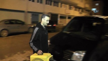 Yolda bulduğu bir aylık yavru tilkiyi Milli Parklar görevlisine teslim etti