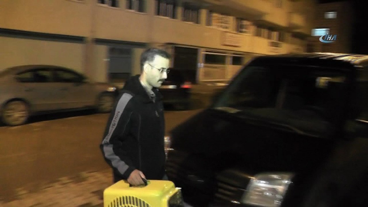 Yolda bulduğu bir aylık yavru tilkiyi Milli Parklar görevlisine teslim etti