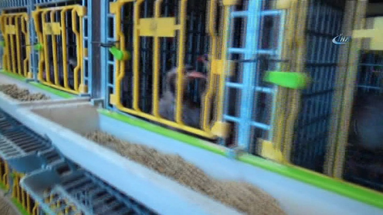 Malatya’da kınalı keklik üretimi