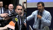 Salvini e Di Maio oggi al Quirinale per riferire sull'accordo di governo