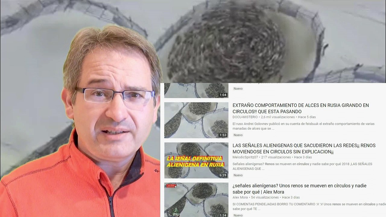 Desmontando MENTIRAS: CÍRCULOS de RENOS ¿hipnosis, extraterrestres, señales alienígenas?. Pues NO