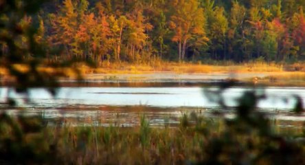 Grey Skies 2010 NoGRP Horror    Part 03