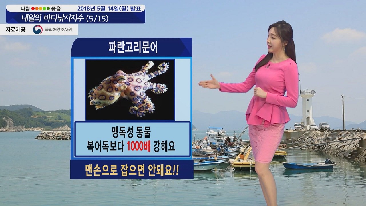 [내일의 바다낚시지수]5월15일 대부분 출조 가능하나 일부 포인트 강한 바람 영향 있어  / YTN