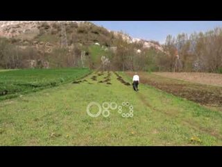 Ora News - Mesjetë në Kukës, fshatarët i rikthehen parmendës