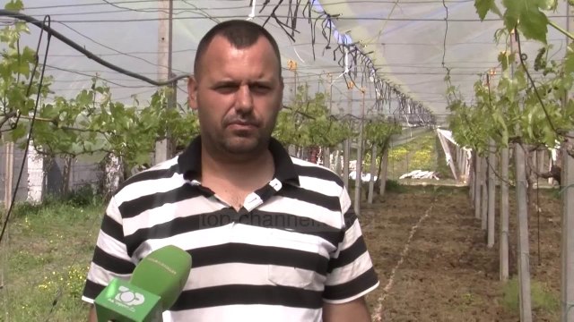 Durrës, fermerët në vështirësi - Top Channel Albania - News - Lajme