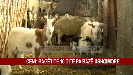 TË PËRMBYTURIT NË PRITJE TË KOMPENSIMIT