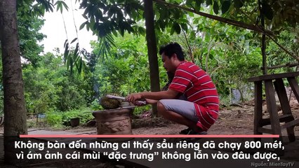 Đoạn clip cận cảnh sầu riêng nướng miệt vườn hút hơn triệu lượt xem vì ngon khó cưỡng