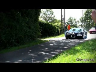 Bugatti Veyrons move REALLY fast!